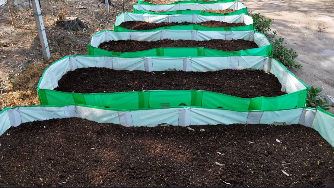 Vermicompost Beds